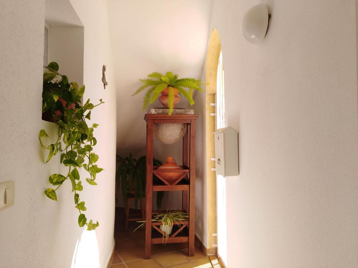 Apto. Pina De Mar Costa Adeje  ภายนอก รูปภาพ